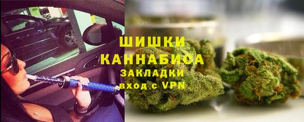 ГАЛЛЮЦИНОГЕННЫЕ ГРИБЫ Ладушкин